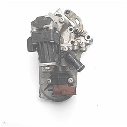 55230929 Gruppo valvola EGR scambiatore Fiat Citroen Lancia Opel 500 312 1.3mtj 70kw 2007