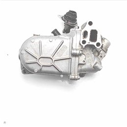 55230929 Gruppo valvola EGR scambiatore Fiat Citroen Lancia Opel 500 312 1.3mtj 70kw 2007