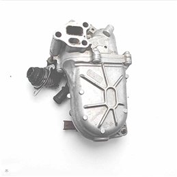 55230929 Gruppo valvola EGR scambiatore Fiat Citroen Lancia Opel 500 312 1.3mtj 70kw 2007