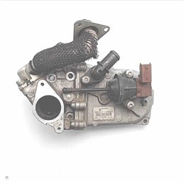 55230929 Gruppo valvola EGR scambiatore Fiat Citroen Lancia Opel 500 312 1.3mtj 70kw 2007