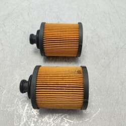 S5031PE Sofima 2 pezzi filtro olio motore Ford Ka diesel 2008 Fiar 500 312 Alfa Romeo Mito diesel 2008