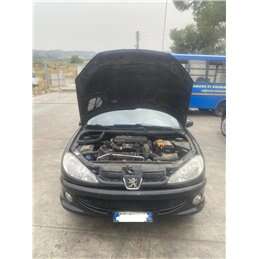 Per ricambi Peugeot 206 1.4 50kw 8HZ 2008