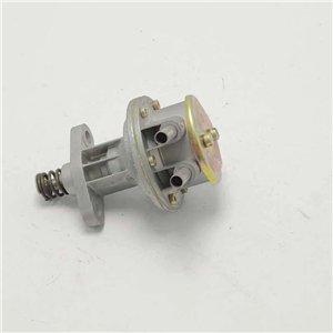 3042R pompa carburante Renault R20 diesel 1975-84 epoca Sofabex