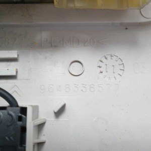 9636696877 plafoniera luce interna cortesia lettura Peugeot 207 1.4 HDI 50 KW 2011
