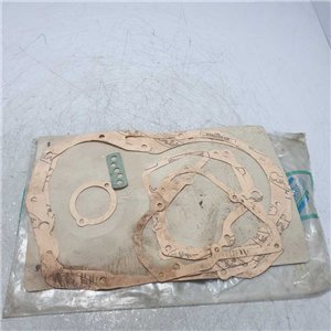 060569-9900 kit Guarnizione cambio 5 marce Fiat Regata Ritmo Uno 1.7d con paraoli 1994-00