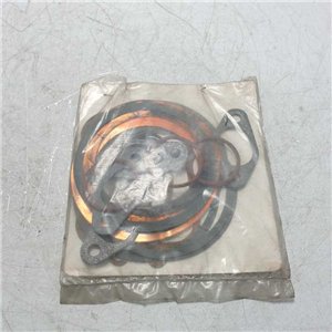 RD180 Serie guarnizioni motore kit smeriglio Ruggerini