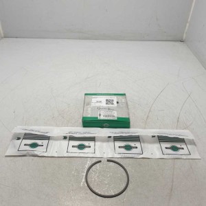 FIN098RS06 segmenti motore VM 195SV diam 95,60 mm