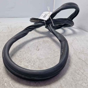 Guarnizione portiera post DX Mini Cooper D Countryman All4 1.6 82 KW 2010-16 0382655