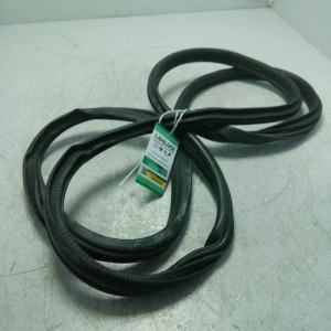 Guarnizione portiera ant DX Mini Cooper D Countryman All4 1.6 82 KW 2010-16 0382654