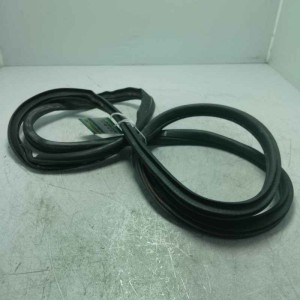 Guarnizione portiera ant DX Mini Cooper D Countryman All4 1.6 82 KW 2010-16 0382654