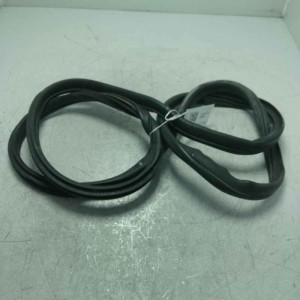 Guarnizione portiera ant DX Mini Cooper D Countryman All4 1.6 82 KW 2010-16 0382654