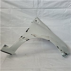 Parafango Renault Clio