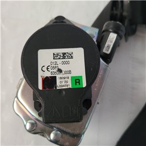 Cintura di sicurezza